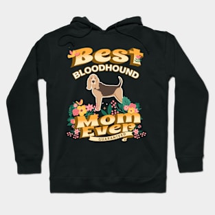 Best Bloodhound Mom - Dog Mom, Dog Owner Gifts Hoodie